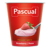 YAOUR PASCUAL FRESA
