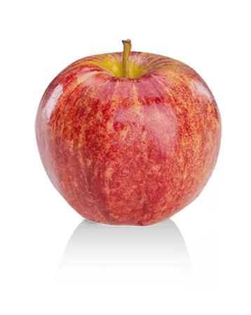 Pomme gala