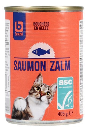 boni chat adulte saumon
